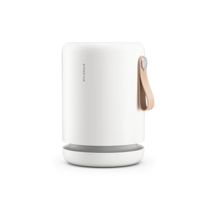 Air Mini+ Purifier