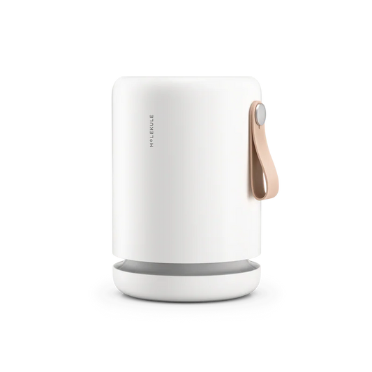 Air Mini+ Purifier