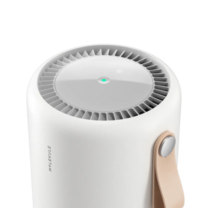Air Mini+ Purifier
