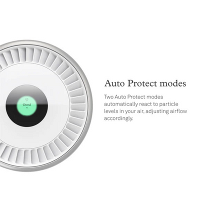 Molekule Air Pro