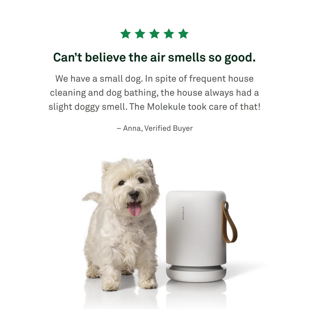 Air Mini+ Purifier