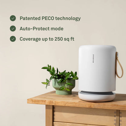 Air Mini+ Purifier