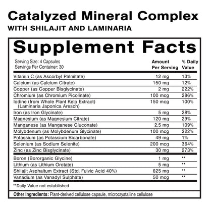 Catalyzed Mineral Complex